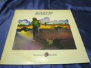 Rare 70s Private Folk Rock Psych LP: Scott Bruning Scotti For Friends Strawberry
