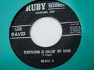 LEE DAVID   TEMPTATION IS CALLING MY NAME - NORTHERN SOUL