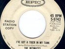 THE INTIMATES (Early Lou Reed) Garage Hot Rod Epic PROMO  **HEAR IT**