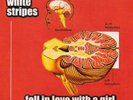 The white stripes fell in love with a girl 7