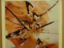 STEVE LACY QUARTET SORTIE OG GERMAN POLYDOR ST LP MINT
