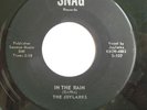 DOO WOP 45-THE JOYLARKS-IN THE RAIN /BETTY MY LOVE