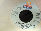 NORTHERN SOUL: Jesse James PROMO 45 If You Want a Love Affair/mono MINT VINYL DJ