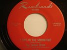 Garage Band 45 The Lemon Drops on Rembrandt Records, 