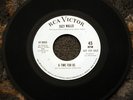 SUZY WALLIS Northern Soul 7