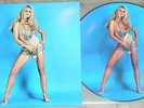 BRIGITTE BARDOT – The Best of Bardot, PICTURE DISC w/SEXY COVER, 250 copies only