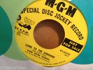 VAN DYKE PARKS SUNSHINE  WLP PROMO US  DJ MGM 45 WAREHOUSE FIND  M-  BEACH BOYS