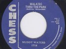 Muddy Waters Walking Thru The Park  BLUES ROCKABILLY GUITAR BREAK 45 HEAR