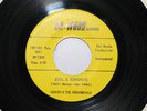 OHIO Funk 45 on Da-Wood: HARVEY & THE PHENOMENALS/Soul & Sunshine RARE Hear it