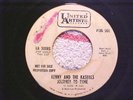 Rare Garage/KENNY AND THE KASUALS/