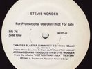 STEVIE WONDER MASTER BLASTER 1980 Killer Dub Promo NM (LISTEN)