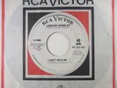 Northern Soul - LORRAINE CHANDLER - I Can't Hold On Orig. RCA Demo HEAR