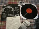 Abner Jay - True Story Of.... (mississippi records cleo thresher spiritualized)