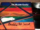 THE MOUNTAIN GOATS BEAUTIFUL RAT 10