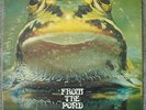 FROGGIE BEAVER From The Pond RARE LP ORIG PRIVATE US psych/ prog 1972 - VG+/VG++