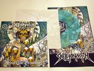SKELETONWITCH - Beyond the Permafrost 12