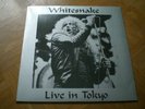 Whitesnake 