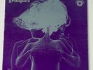 THE GROUPIES LP 1969 ORIGINAL PLASTER CASTER GTO'S HIPPIE PSYCH EX RARE