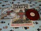 Trapped Under Ice Big Kiss Goodnight /110 NYHC Madball Dead End Path Lockin Out