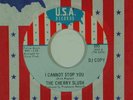 CHERRY SLUSH garage/mod 45  I CANNOT STOP YOU  / DON'T WALK AWAY     VG++