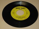 NORTHERN SOUL 45RPM RECORD - THE SONICS - WHITE CLIFFS 230
