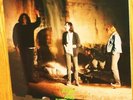 VINYL LP Screaming Trees - Even If And Especially When / SST