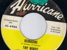 WILD HURRICANE ROCKABILLY / GUITAR ROCKER - TINY MORRIE - HEAR