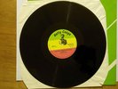 Sons of Jah Breaking Down the Barriers Natty Congo Label 1982 Original Classic