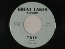 DICK RABBIT garage/psych 45 TRIP / LOVE  GREAT LAKES VG++ FENTON MICHIGAN