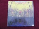 1968 American Blues Do Their Thing Pre ZZ Top Vinyl UNI Stereo 73044 33 rpm.