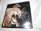 ROCK LP / PETER GREEN 