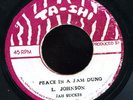 Rising Son - Peace Youth Man JA orig 45 ??