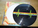 Pink Floyd - Dark Side of the Moon - Picture Disc - USA