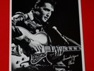 Elvis 