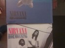 Nirvana nevermind picture discs 20th box/hormoaning ep