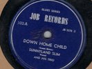 50S CHICAGO BLUES SUNNYLAND SLIM/ ROBT JR LOCKWOOD  JOB 102  RARE  HEAR