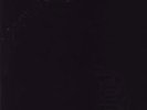 Metallica- Black Album (Double Vinyl LP)