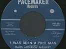 JAMES ANDERSON PARKWAY A/K/A PIPS: I Was Born A Free Man / Free & Easy Life