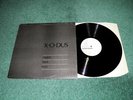 X-O-DUS “”ENGLISH BLACK BOYS” 1979 FACTORY FAC 11 RARE 12” PIC SL NM LISTEN?