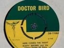 Busty Brown - Here Comes The Night