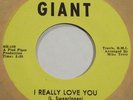 THE SANDPIPERS i really love you GIANT 705 pied piper RARE northern soul HEAR IT