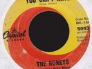 The Honeys Surf 45 on Capitol #5093, Brian Wilson of the Beach Boys