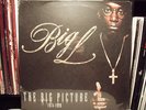 BIG L - THE BIG PICTURE (VINYL 2LP)  2000  RARE  FAT JOE, A.G., O.C.  ?