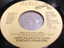 James Walsh Gypsy Band- Cuz It's You,Girl- Rca 70's hear