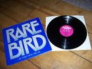RARE BIRD 