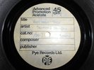 SEEMON & MARIJKE Vegetable Stew PYE acetate The Fool Apple Beatles