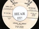 ROCKABILLY 45 Dave Gates & The Accents-Robbins DJ #1008-Lovin' at Night/Jo-Baby