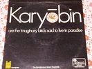 Spontaneous Music Ensemble - Karyobin LP rare UK jazz pink Island