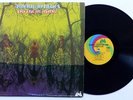 AMERICAN BLUES Do Their Thing Pre-ZZ TOP 1st PRESS N.MINT Psych