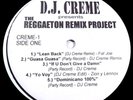 DJ Creme-The Reggaeton Remix Project/ Hiphop-Dancehall